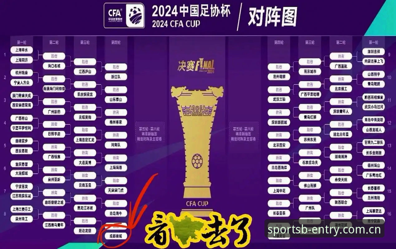 资深用户亲历足协第三批禁足名单，BSports体育平台观赛体验深度解析