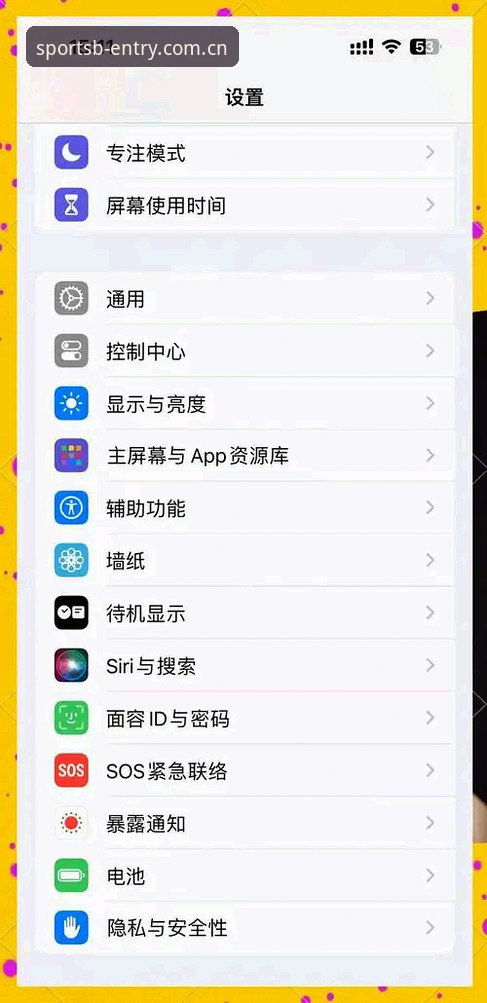 BSPORTS苹果版体验详解：移动端体育娱乐的新选择