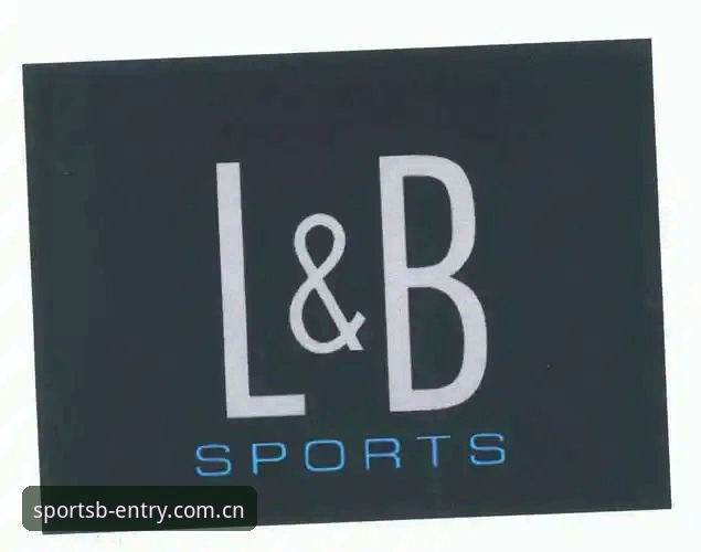 BSPORTS官网到底是什么？新手如何快速上手B体育平台？